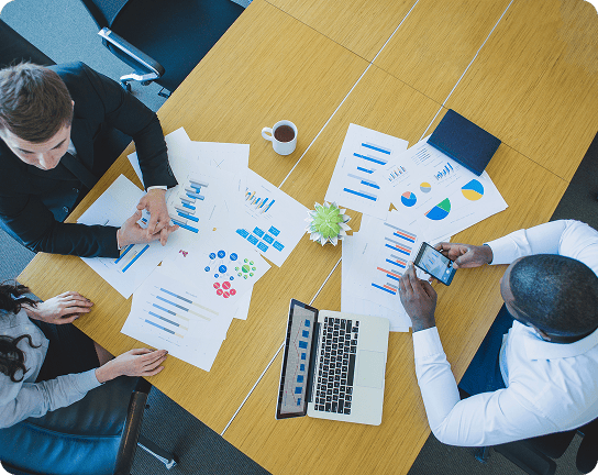 Strategy and Policy Advisory